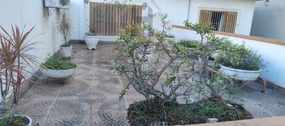 Casa, 3 quartos, 345 m² - Foto 15