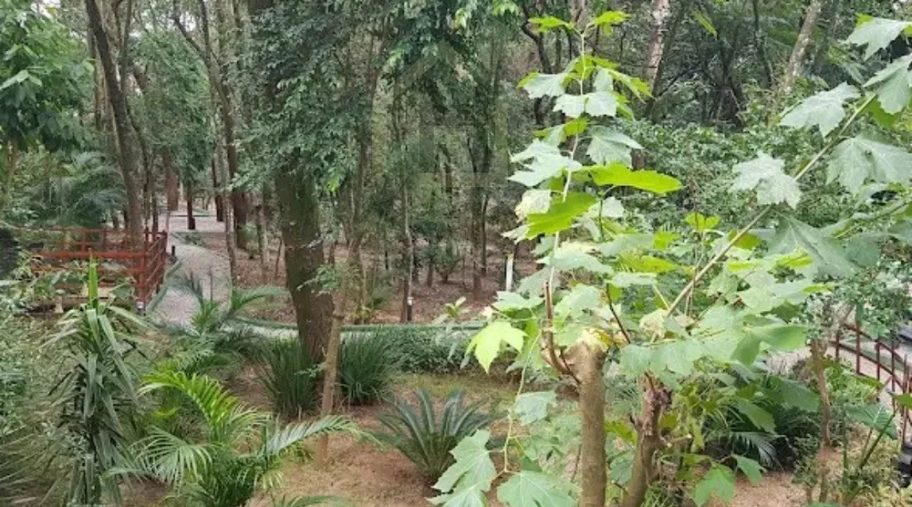 Apartamento, 2 quartos, 48 m² - Foto 11