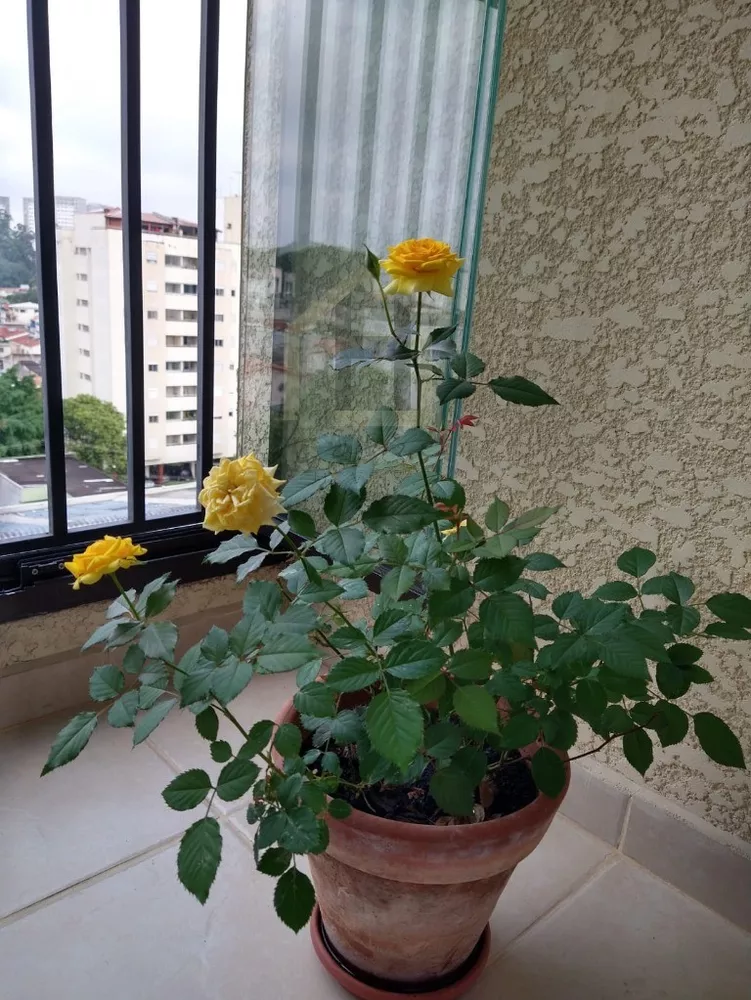 Apartamento, 2 quartos, 58 m² - Foto 6