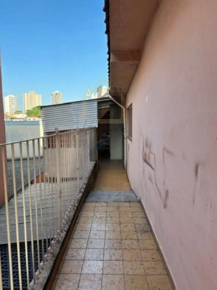 Casa, 5 quartos, 256 m² - Foto 13