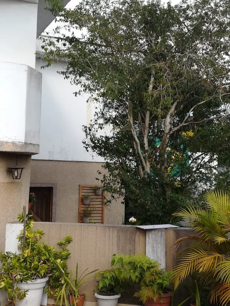 Casa, 2 quartos, 170 m² - Foto 14