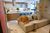 Apartamento, 3 quartos, 66 m² - Foto 4