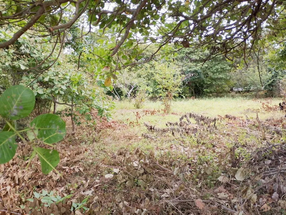 Terreno, 2880 m² - Foto 14