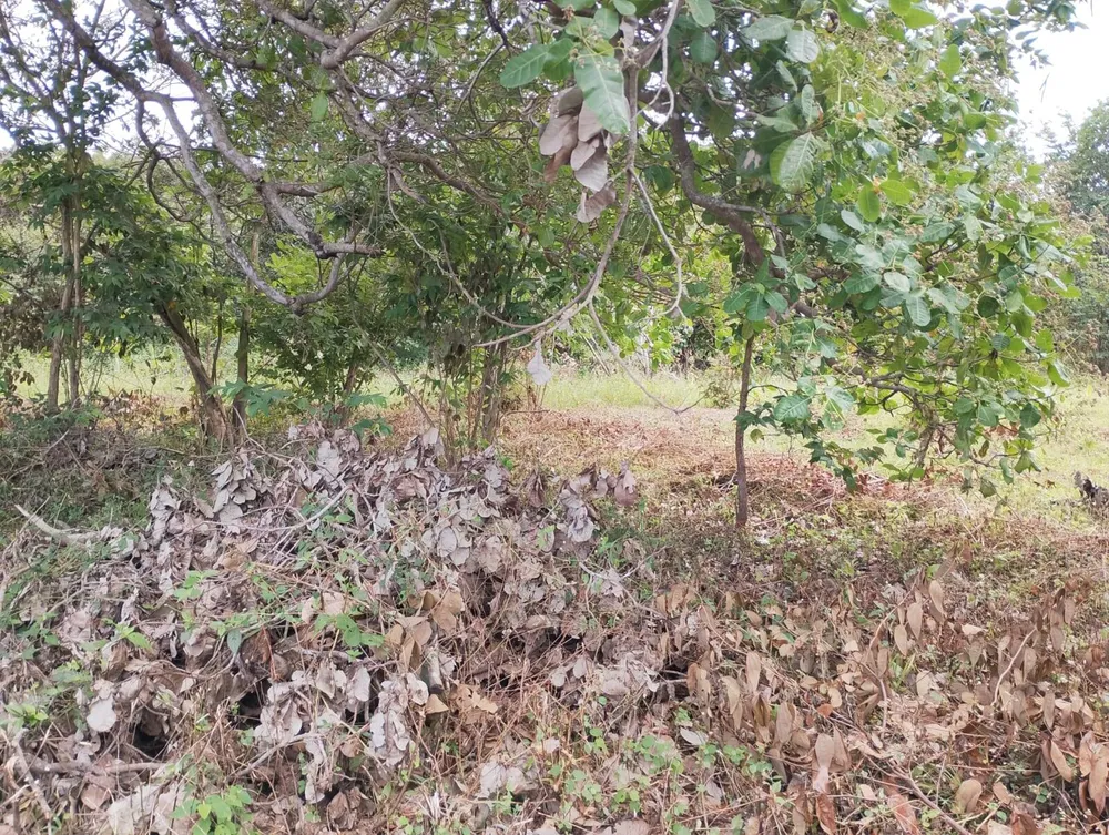 Terreno, 2880 m² - Foto 16