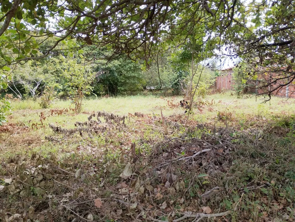 Terreno, 2880 m² - Foto 15