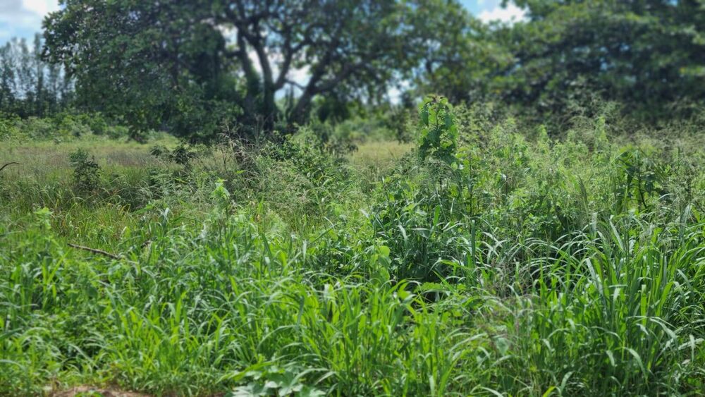 Terreno à venda, 2839344m² - Foto 50