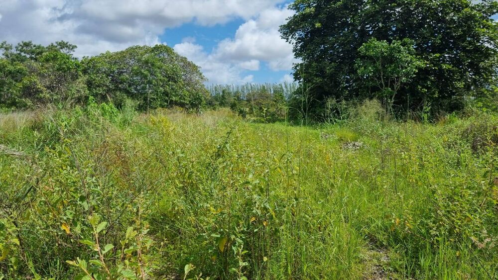 Terreno à venda, 2839344m² - Foto 16