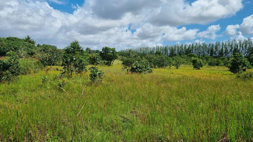 Terreno à venda, 2839344m² - Foto 49