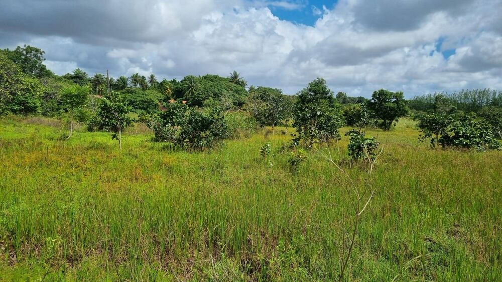 Terreno à venda, 2839344m² - Foto 12