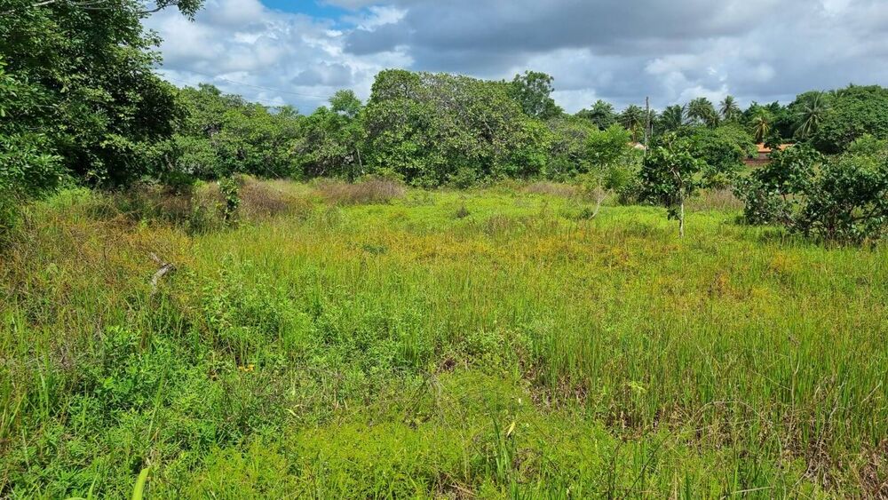 Terreno à venda, 2839344m² - Foto 4