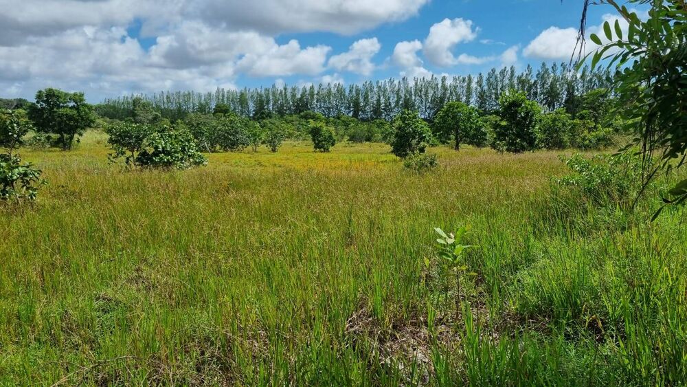 Terreno à venda, 2839344m² - Foto 6