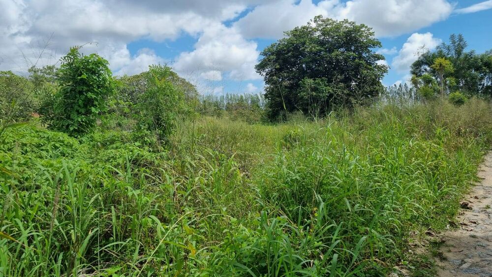 Terreno à venda, 2839344m² - Foto 7