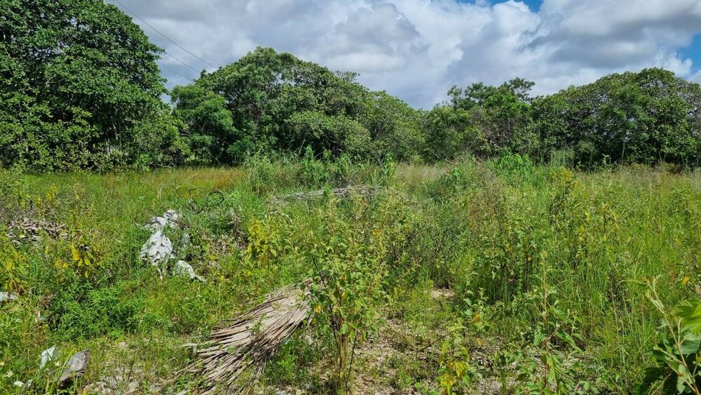 Terreno à venda, 2839344m² - Foto 17