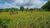 Terreno, 284 hectares - Foto 29