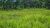 Terreno, 284 hectares - Foto 42