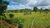Terreno, 284 hectares - Foto 22