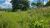 Terreno, 284 hectares - Foto 3