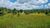 Terreno, 284 hectares - Foto 49