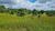 Terreno, 284 hectares - Foto 12