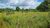 Terreno, 284 hectares - Foto 34