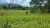 Terreno, 284 hectares - Foto 10