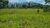 Terreno, 284 hectares - Foto 48