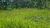 Terreno, 284 hectares - Foto 33