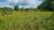 Terreno, 284 hectares - Foto 27