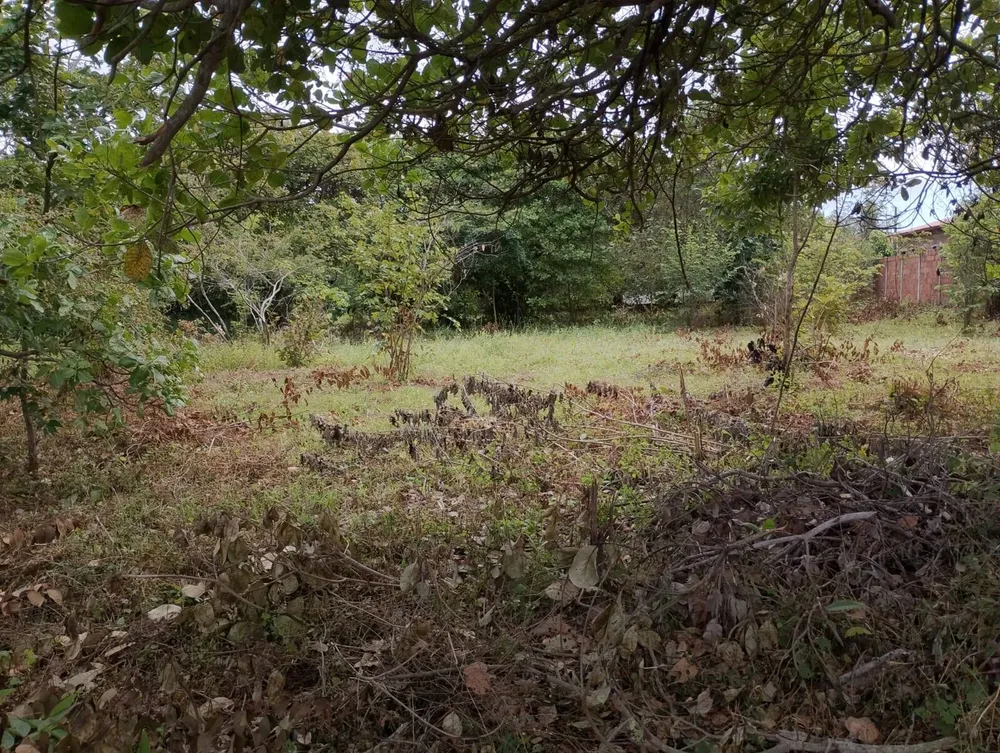 Terreno, 2880 m² - Foto 13