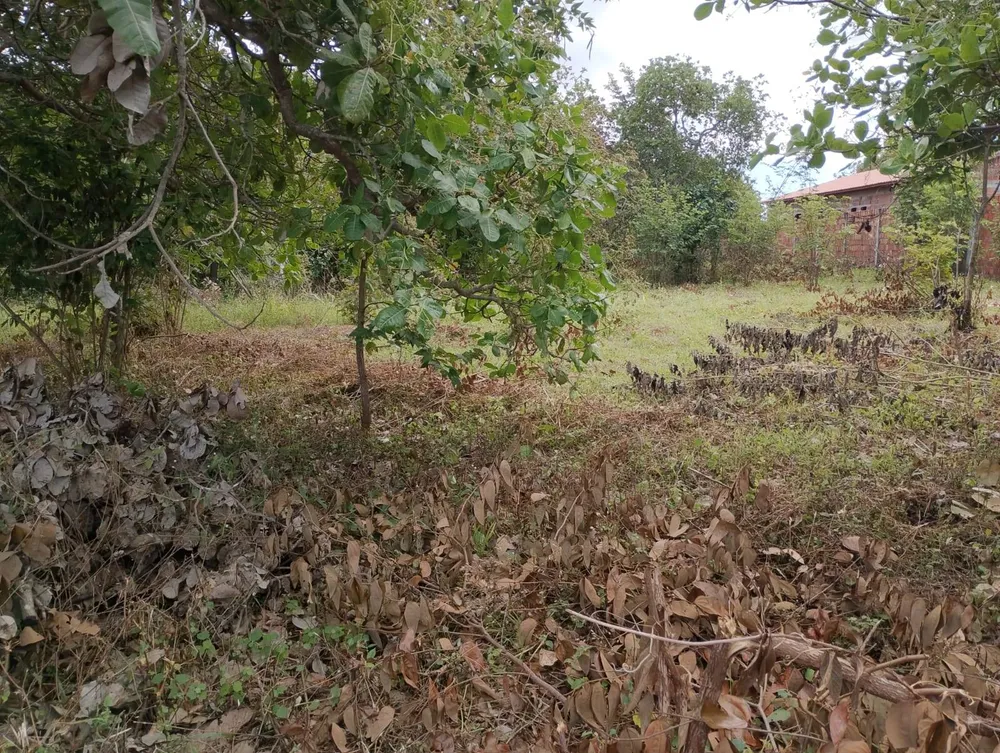 Terreno, 2880 m² - Foto 14