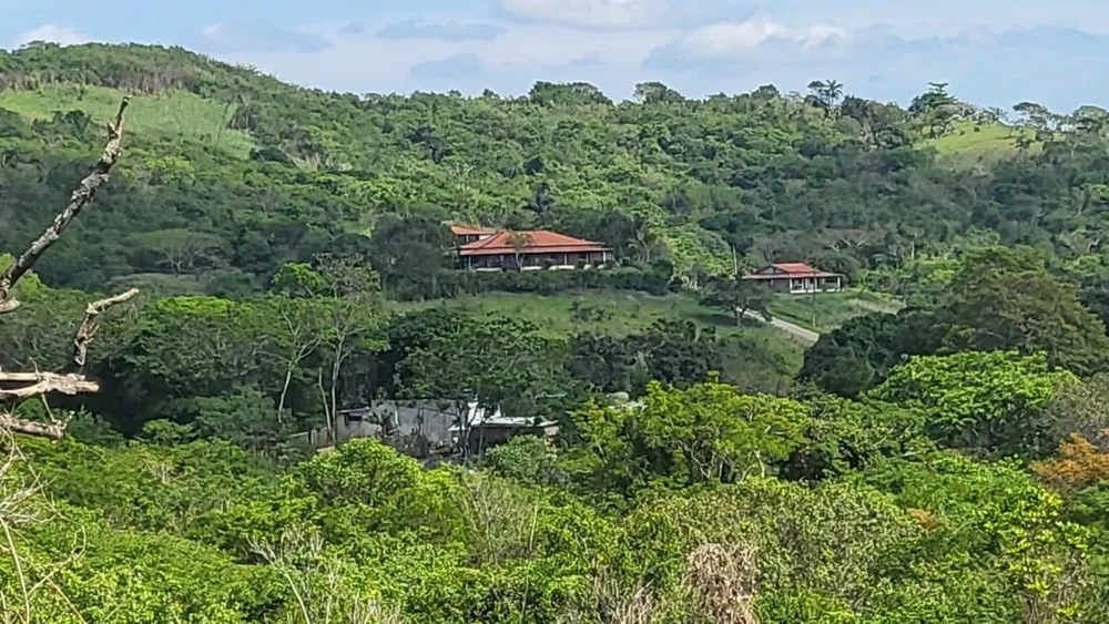 Terreno, 16 hectares - Foto 1