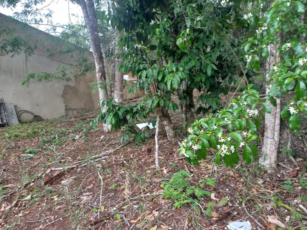 Terreno, 360 m² - Foto 9