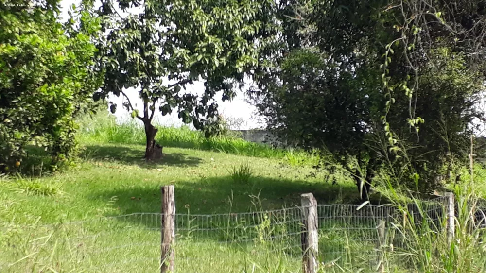 Sítio, 3 quartos, 6000 m² - Foto 3