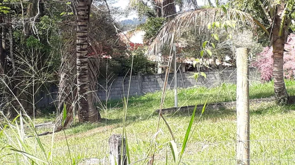 Sítio, 3 quartos, 6000 m² - Foto 7