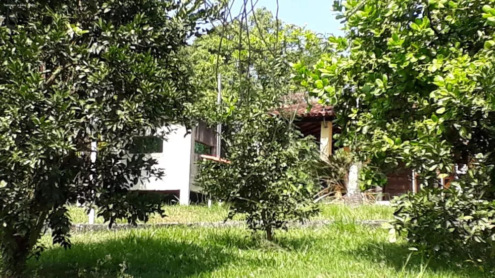 Sítio, 3 quartos, 6000 m² - Foto 6