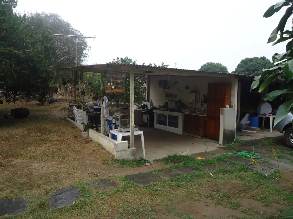 Sítio, 3 quartos, 6000 m² - Foto 10