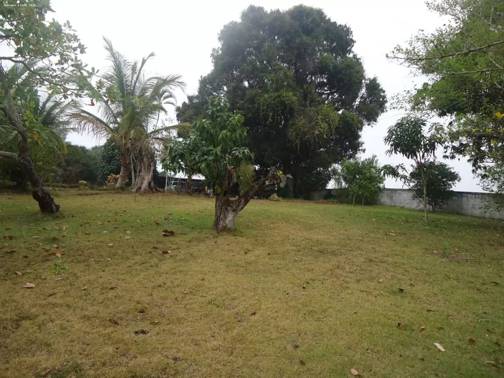 Sítio, 3 quartos, 6000 m² - Foto 12
