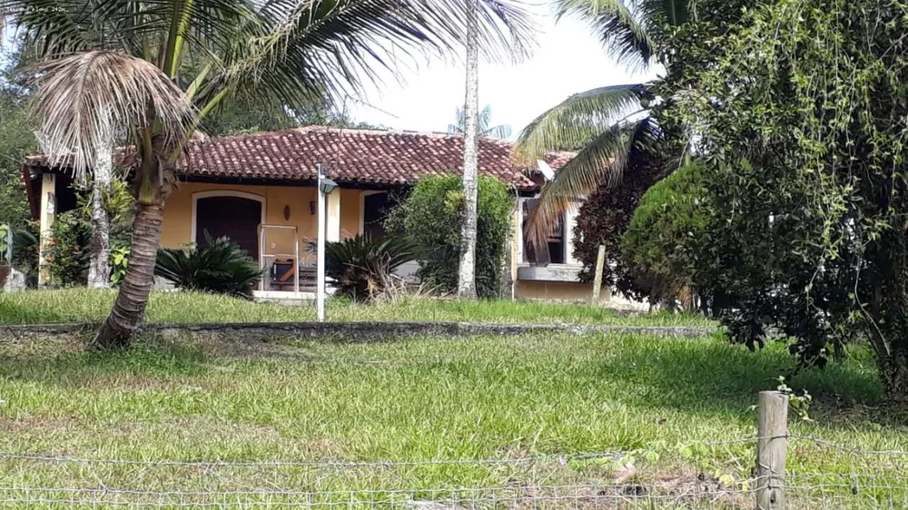 Sítio, 3 quartos, 6000 m² - Foto 2