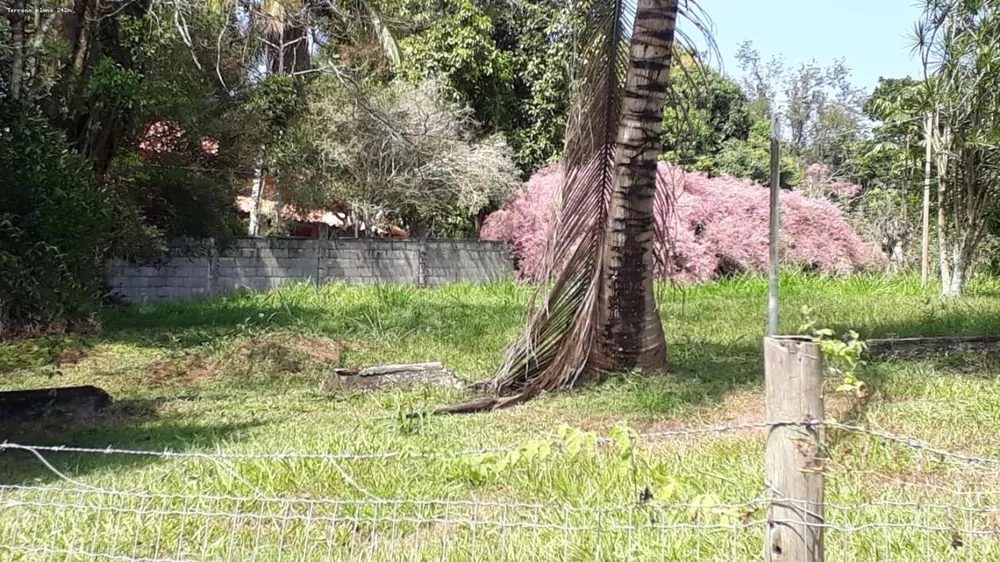 Sítio, 3 quartos, 6000 m² - Foto 4