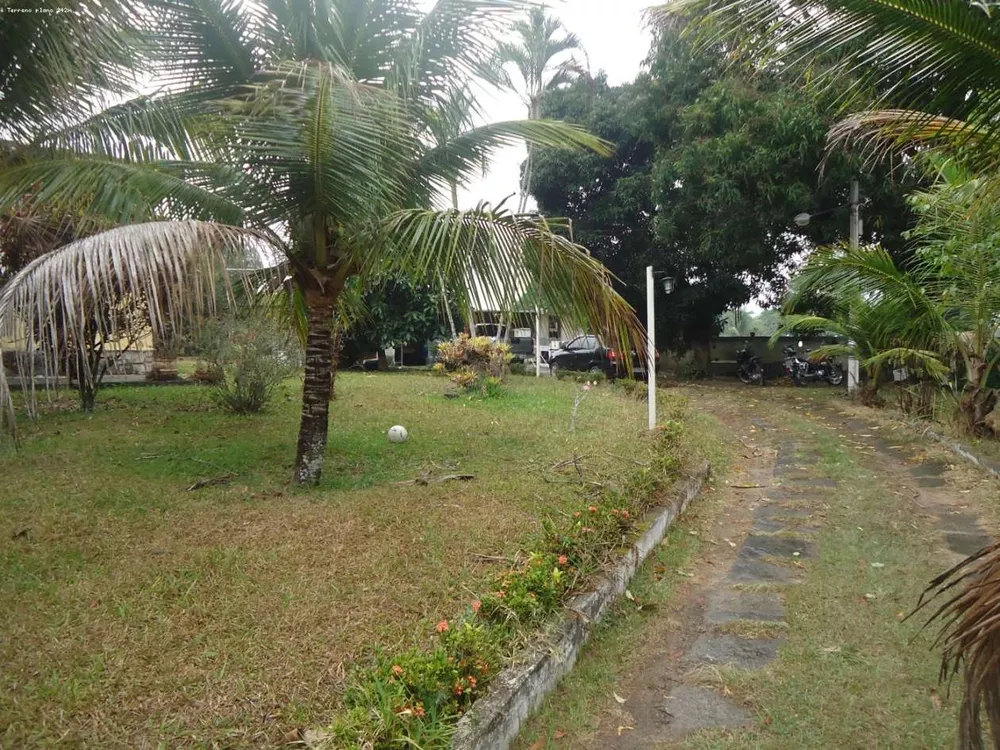 Sítio, 3 quartos, 6000 m² - Foto 11