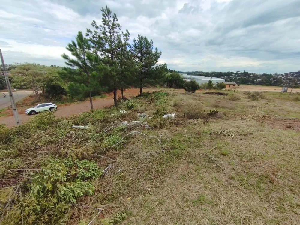 Terreno, 1010 m² - Foto 3