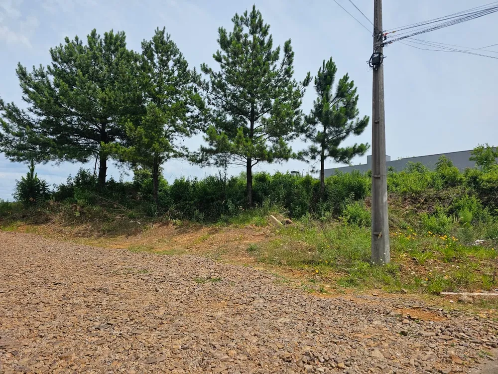 Terreno, 1010 m² - Foto 2