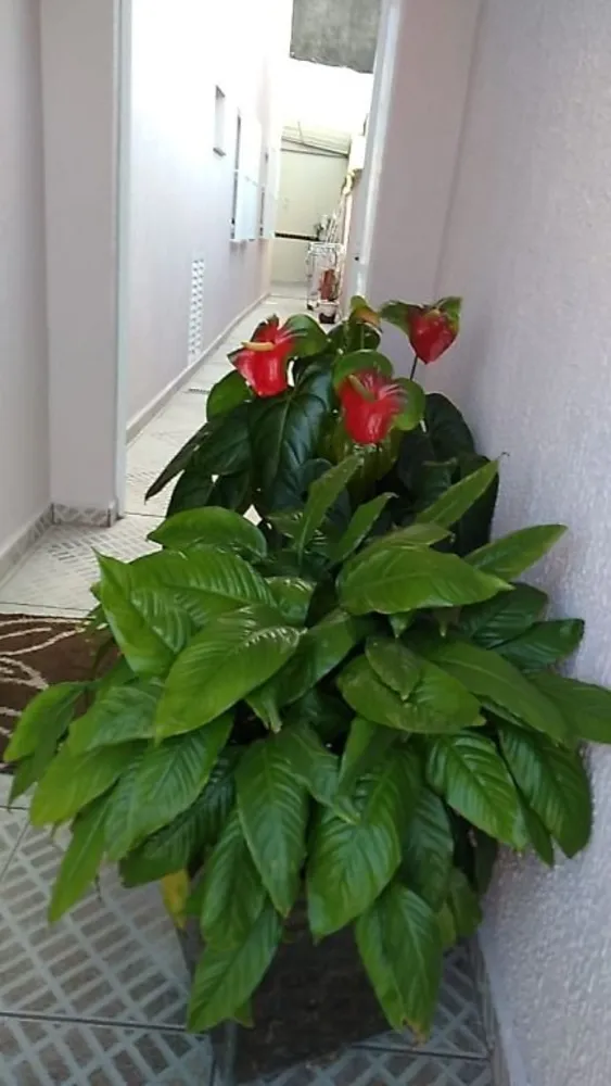 Sobrado, 3 quartos, 151 m² - Foto 2