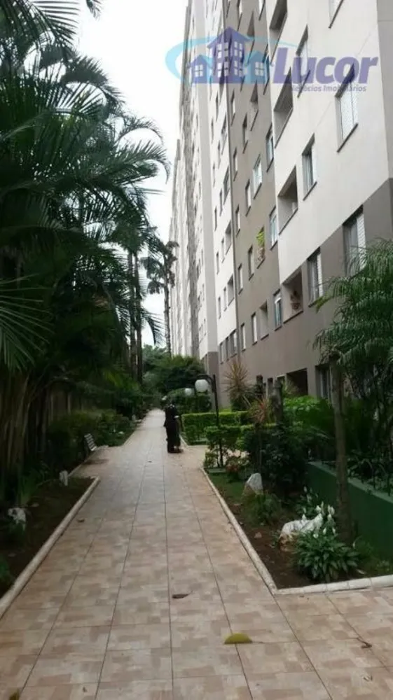 Apartamento, 3 quartos, 55 m² - Foto 1