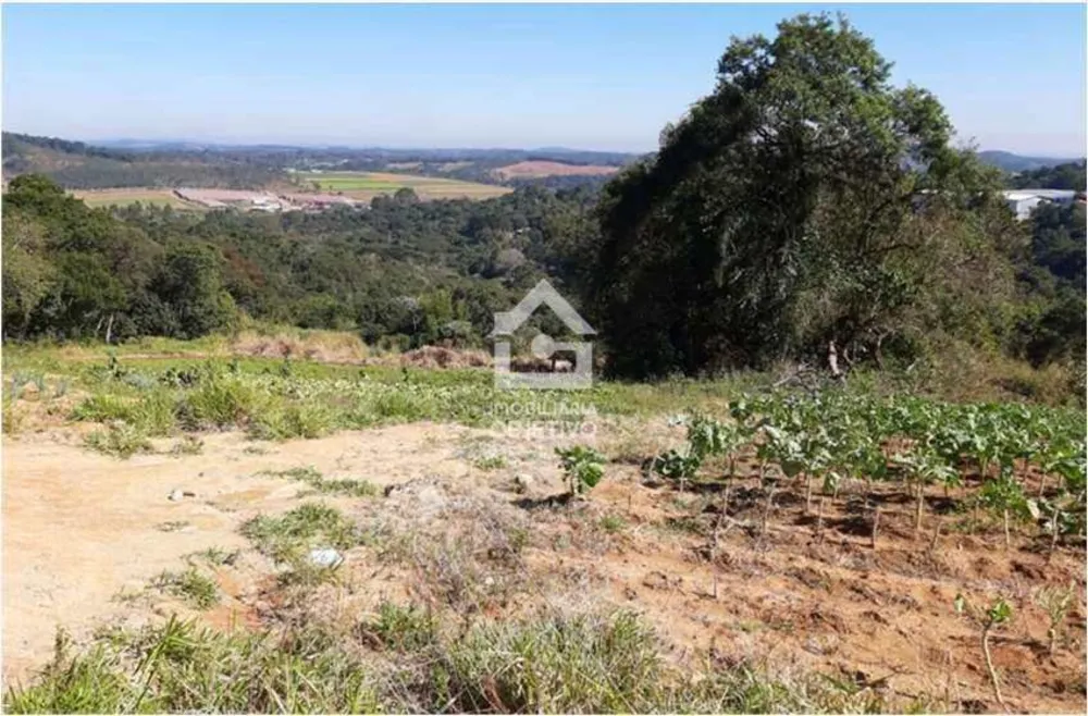 Terreno, 5 hectares - Foto 2