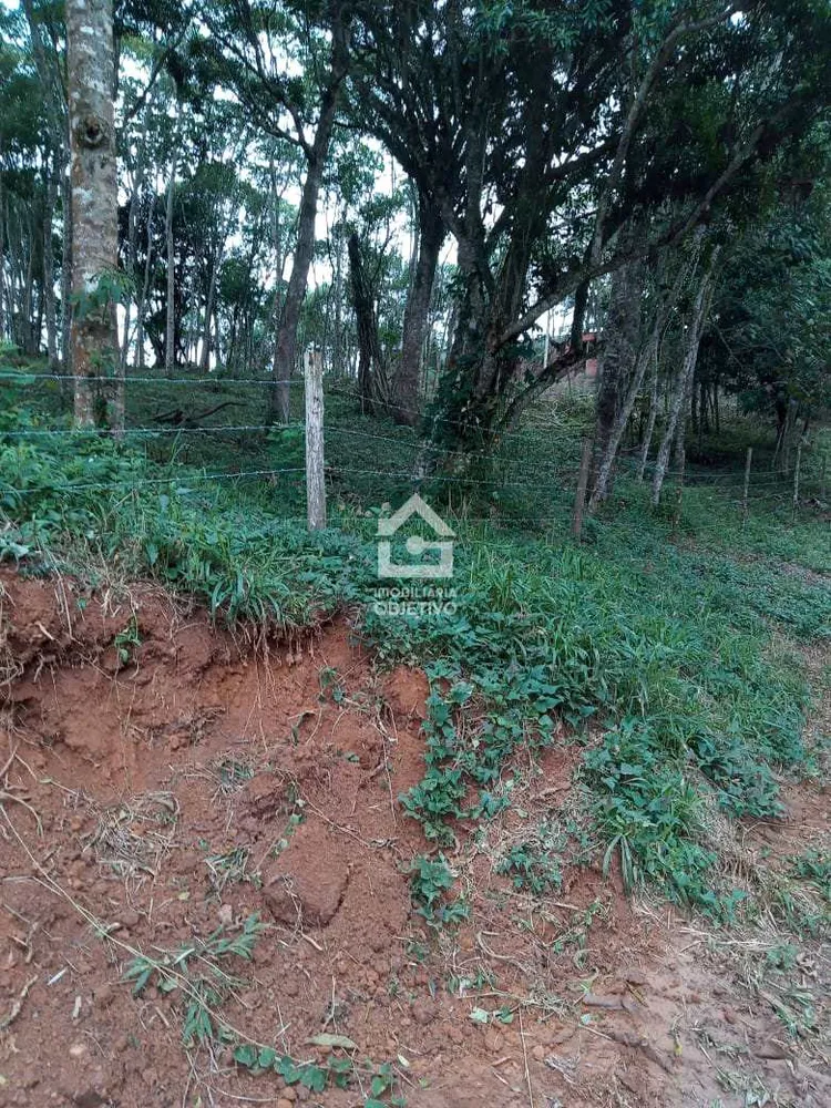 Terreno, 3000 m² - Foto 7