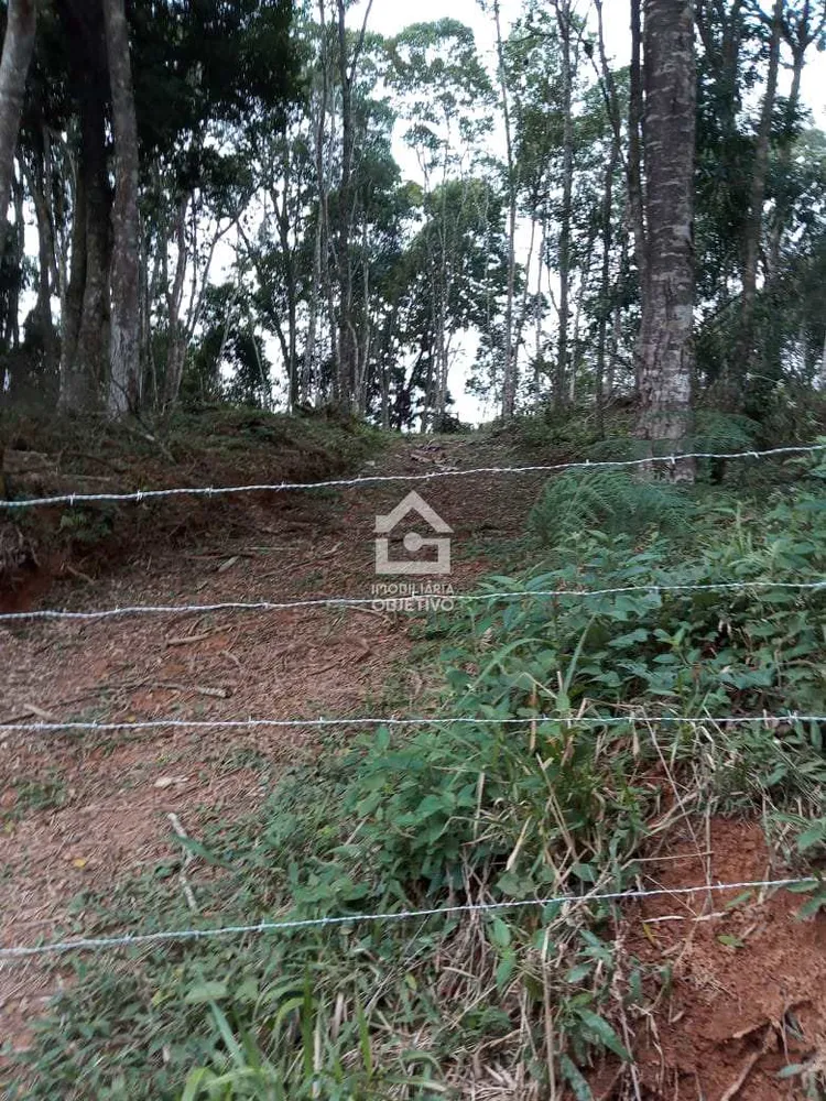 Terreno, 3000 m² - Foto 5