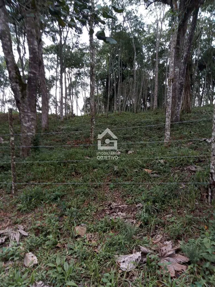 Terreno, 3000 m² - Foto 4