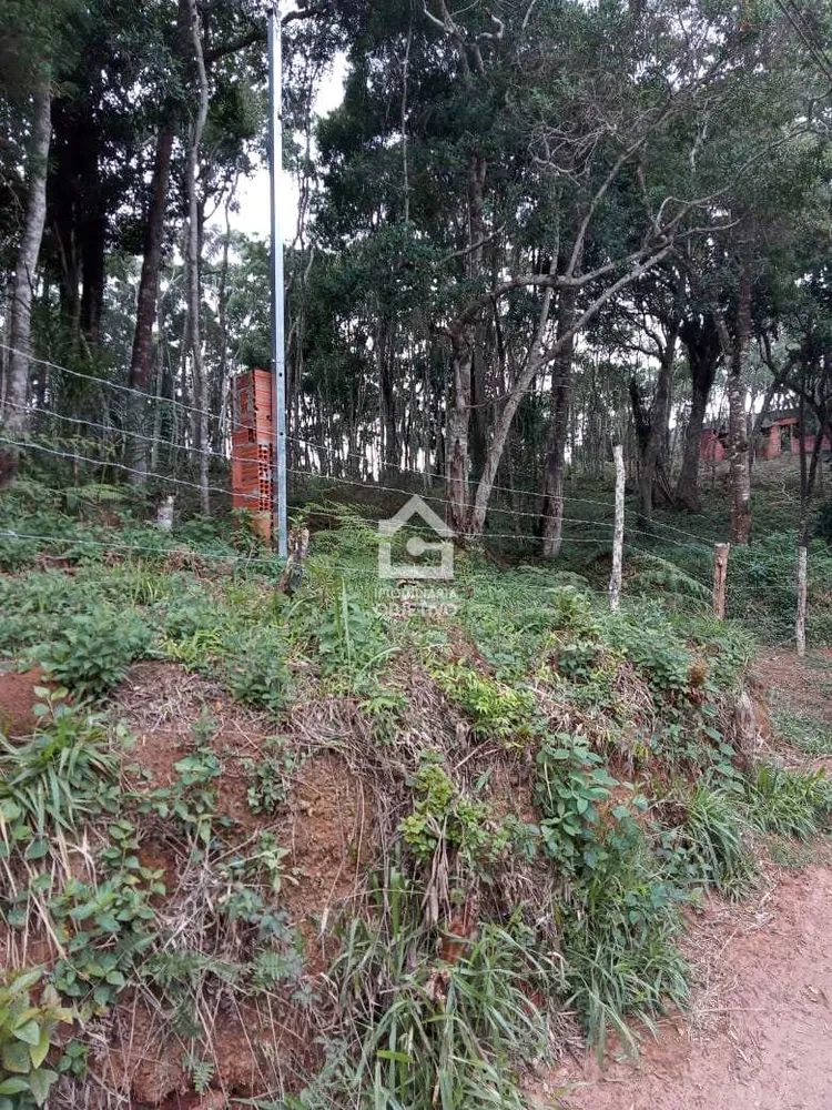 Terreno, 3000 m² - Foto 8