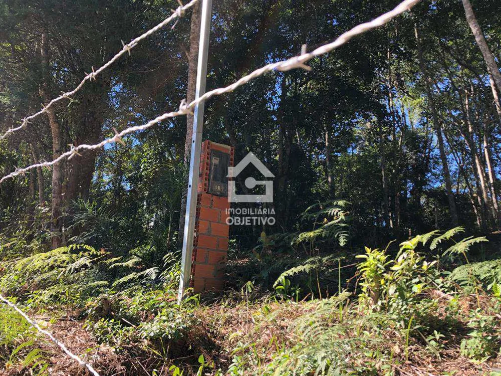 Terreno, 3000 m² - Foto 2